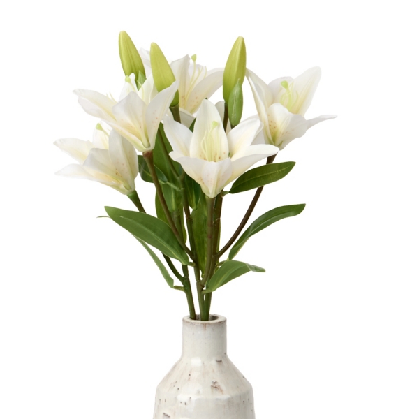 White Lily and Leaf Bundle