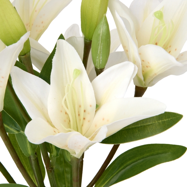 White Lily and Leaf Bundle