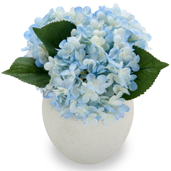 Blue Hydrangea Arrangement in White Vase