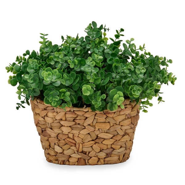 Oversized Spiral Eucalyptus Arrangement