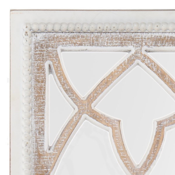 Jessica Whitewashed Panel Wall Mirror