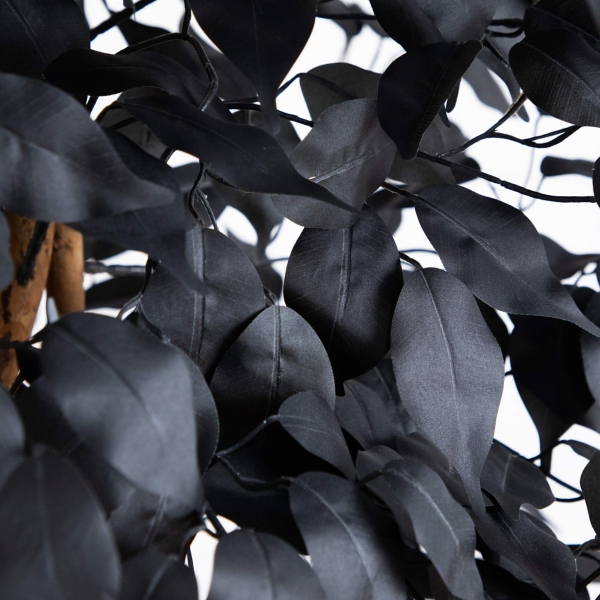 7 ft. Black Ficus Natural Trunk Halloween Tree