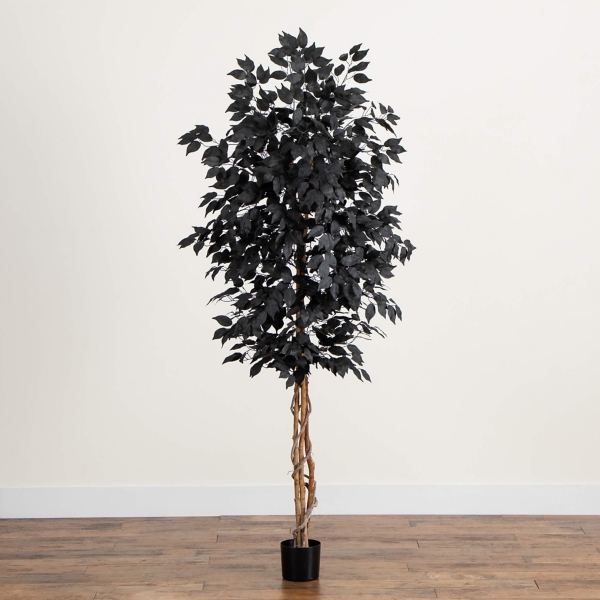 7 ft. Black Ficus Natural Trunk Halloween Tree
