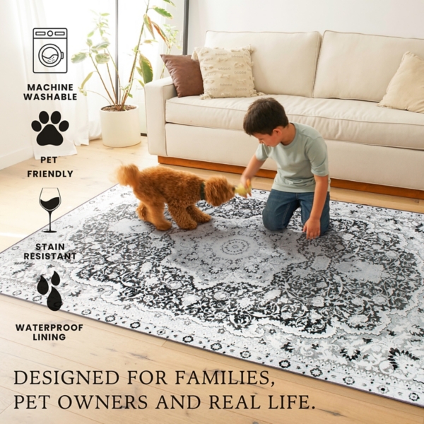 Parviz Gray Washable Area Rug