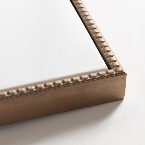 Elegant Ornaments I Framed Canvas Art Print