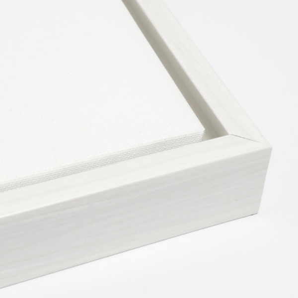 Snowy Train Framed Canvas Art Print