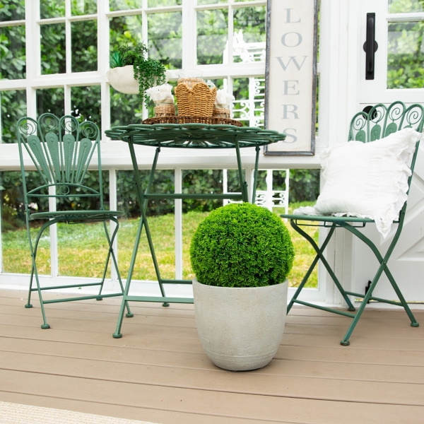 UV Resistant Mediterranean Cypress Topiary Plant