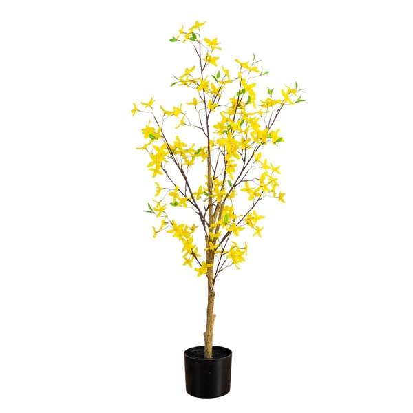 4 ft. Yellow Forsythia Tree