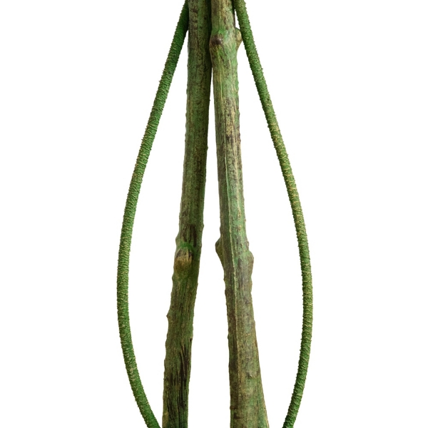 4.5 ft. UV Resistant Artificial Ficus Tree