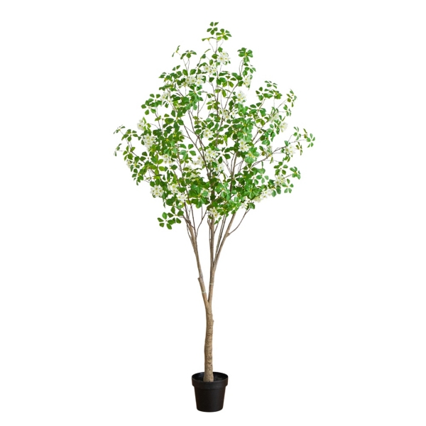 7 ft. Dogwood Tree in Nursery Planter