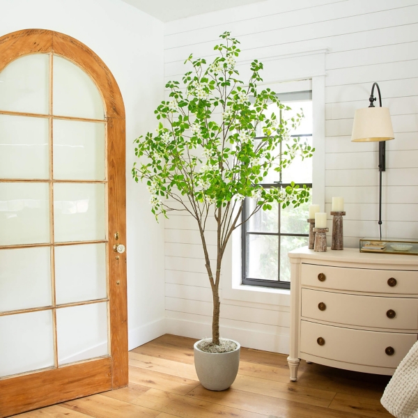 7 ft. Dogwood Tree in Nursery Planter