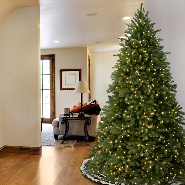 ft. Pre-Lit Jersey Fraser Fir Christmas Tree