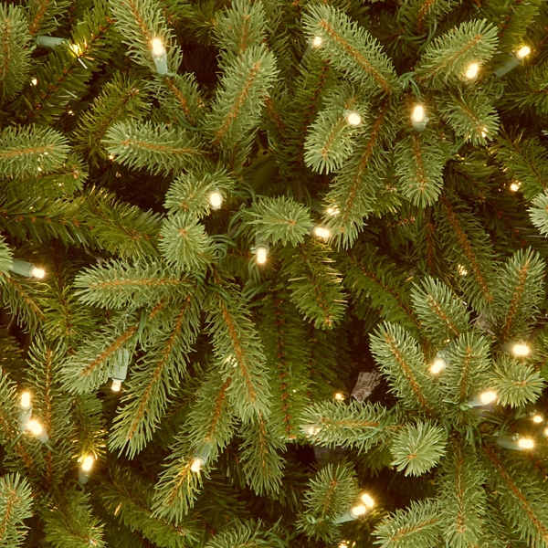 7.5 ft. Dual LED Jersey Fraser Fir Christmas Tree