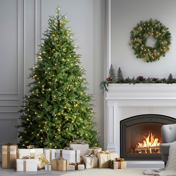 7.5 ft Pre-Lit Princeton Fraser Fir Christmas Tree