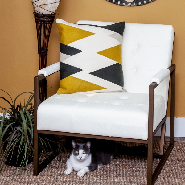 Ziglar Transitional Pillow