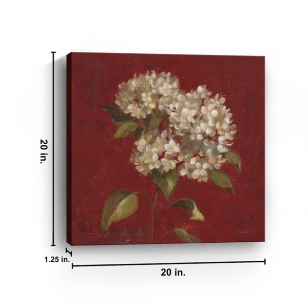 Red Hydrangea Blooms Canvas Art Print