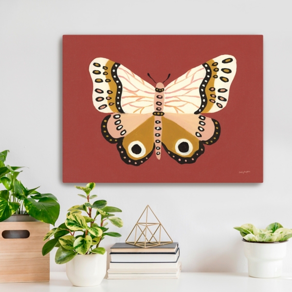 Cinnamon Butterfly Canvas Art Print