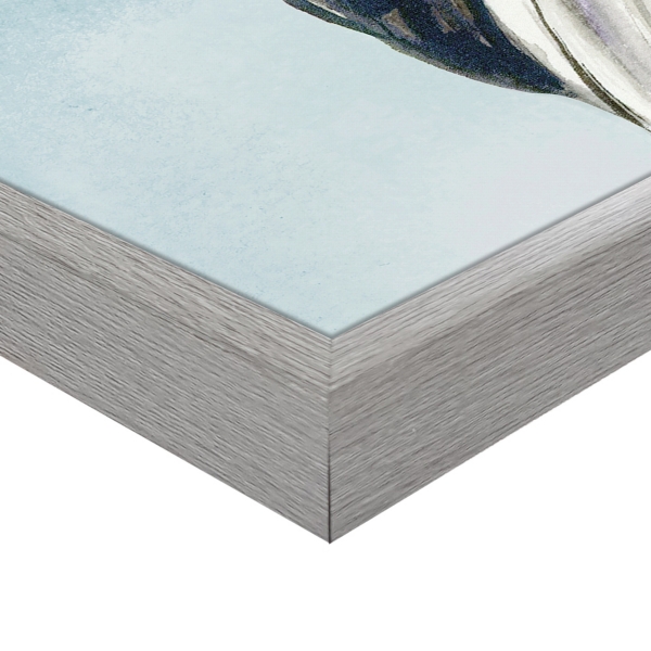 Portrait of Nature Framed Canvas Art Print