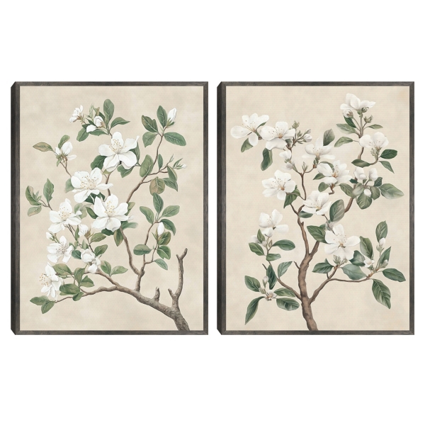 Tree Blossoms Framed Canvas Art Prints, Set of 2