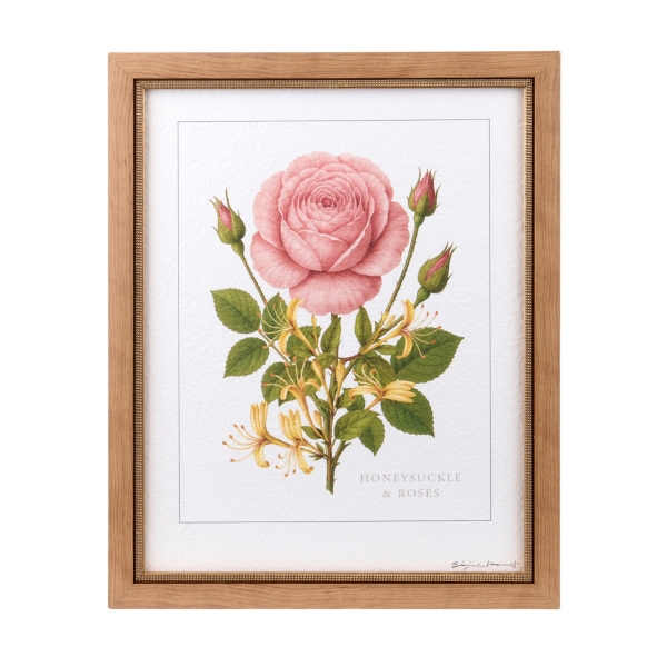 June Rose and Honeysuckle Framed Art Print