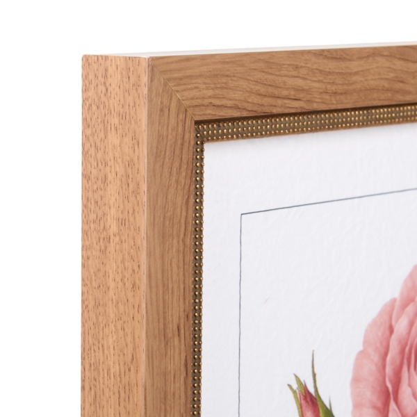 June Rose and Honeysuckle Framed Art Print