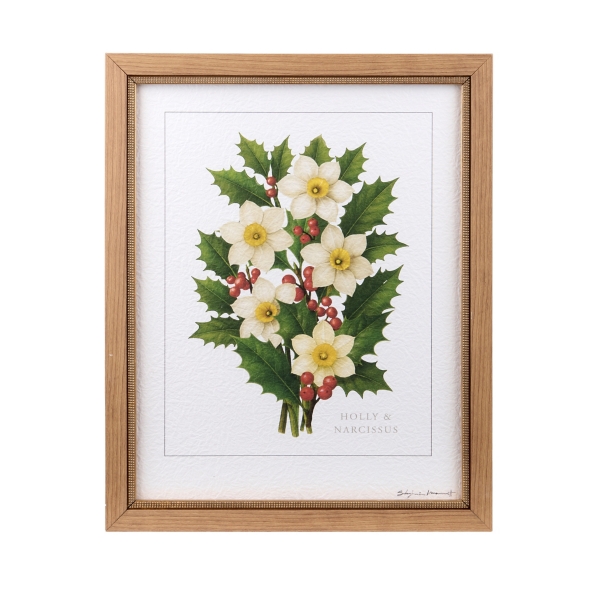 December Narcissus and Holly Framed Art Print