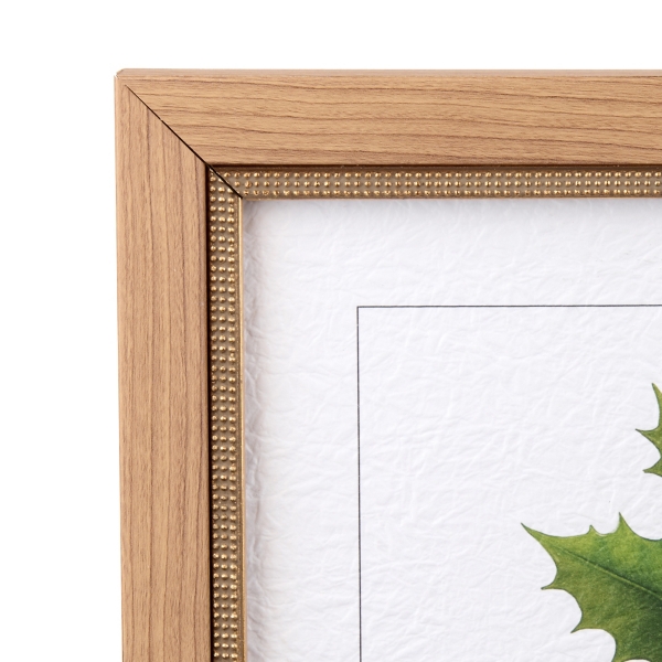 December Narcissus and Holly Framed Art Print