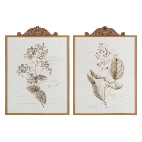 Floral Sketch Framed Art Prints