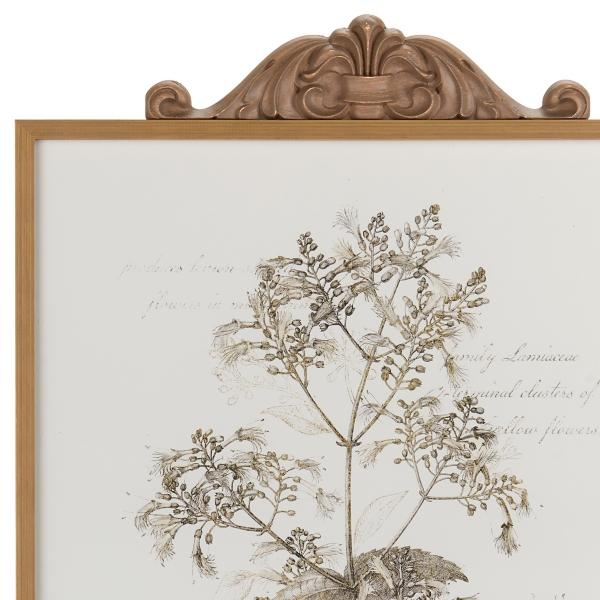 Floral Sketch Framed Art Prints