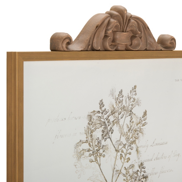 Floral Sketch Framed Art Prints