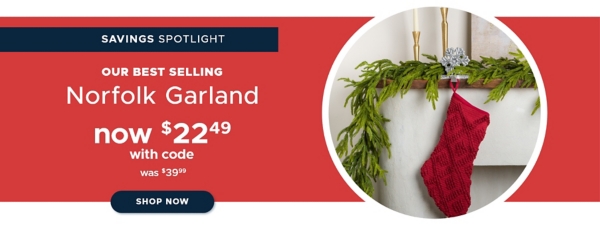 Savings Spotlight Our Best Selling Norfolk Garland now $22.49 with code was $39.99 Shop Now