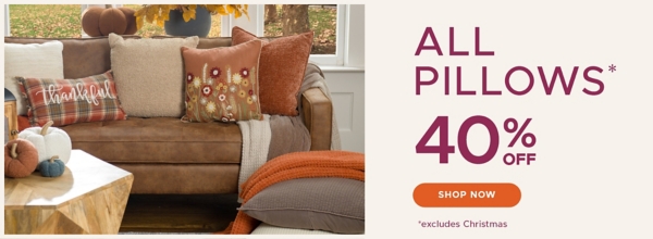 All Pillows* 40% off shop now *excludes Christmas