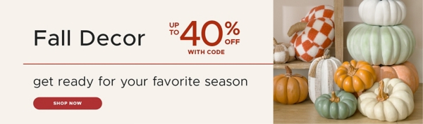 Fall Decor up to 40% off with code get ready for your favorite season shop now